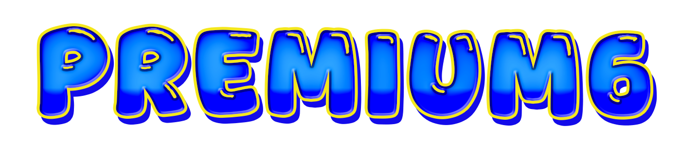 Premium6 Logo